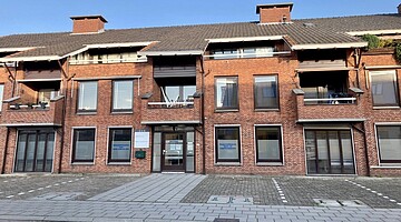 Gouda